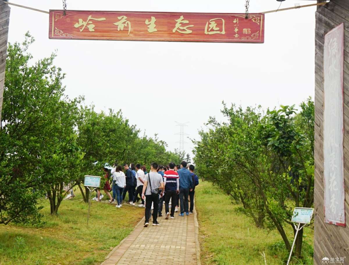 点击放大