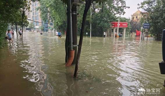 点击放大