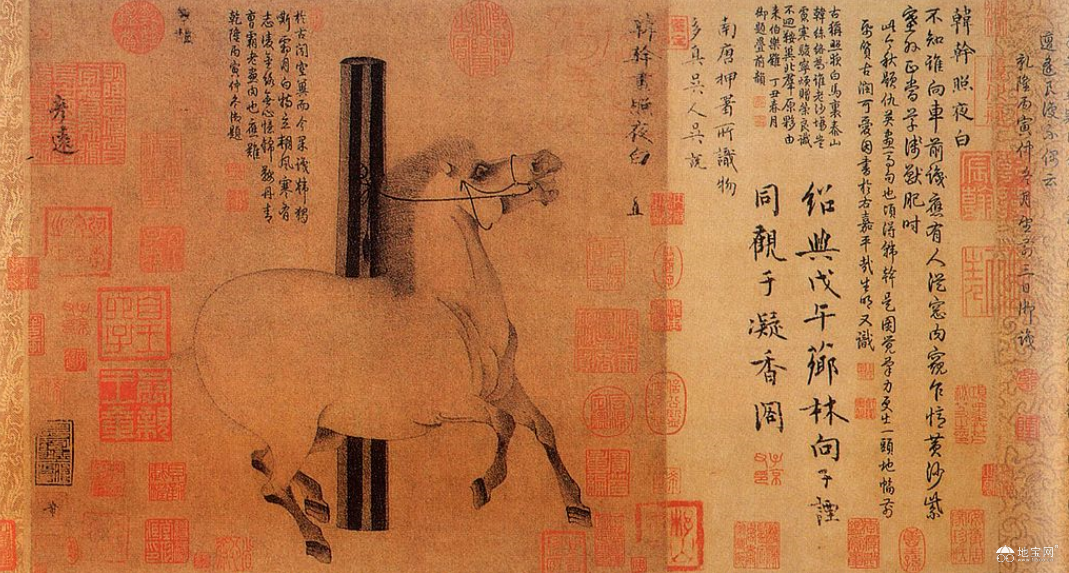 点击放大
