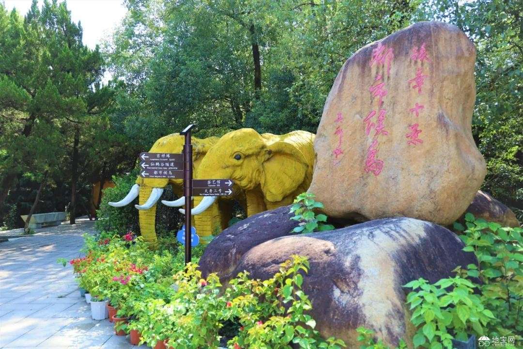 点击放大