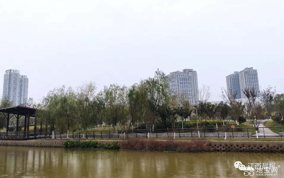 点击放大