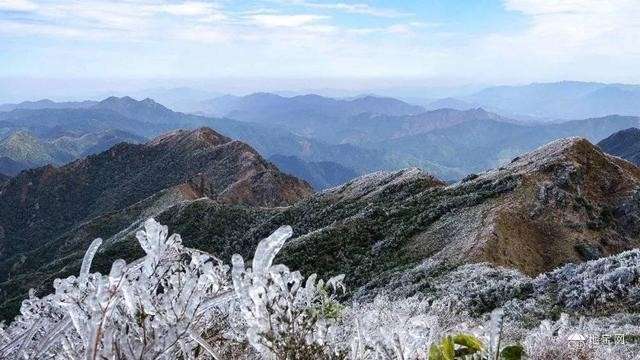 点击放大