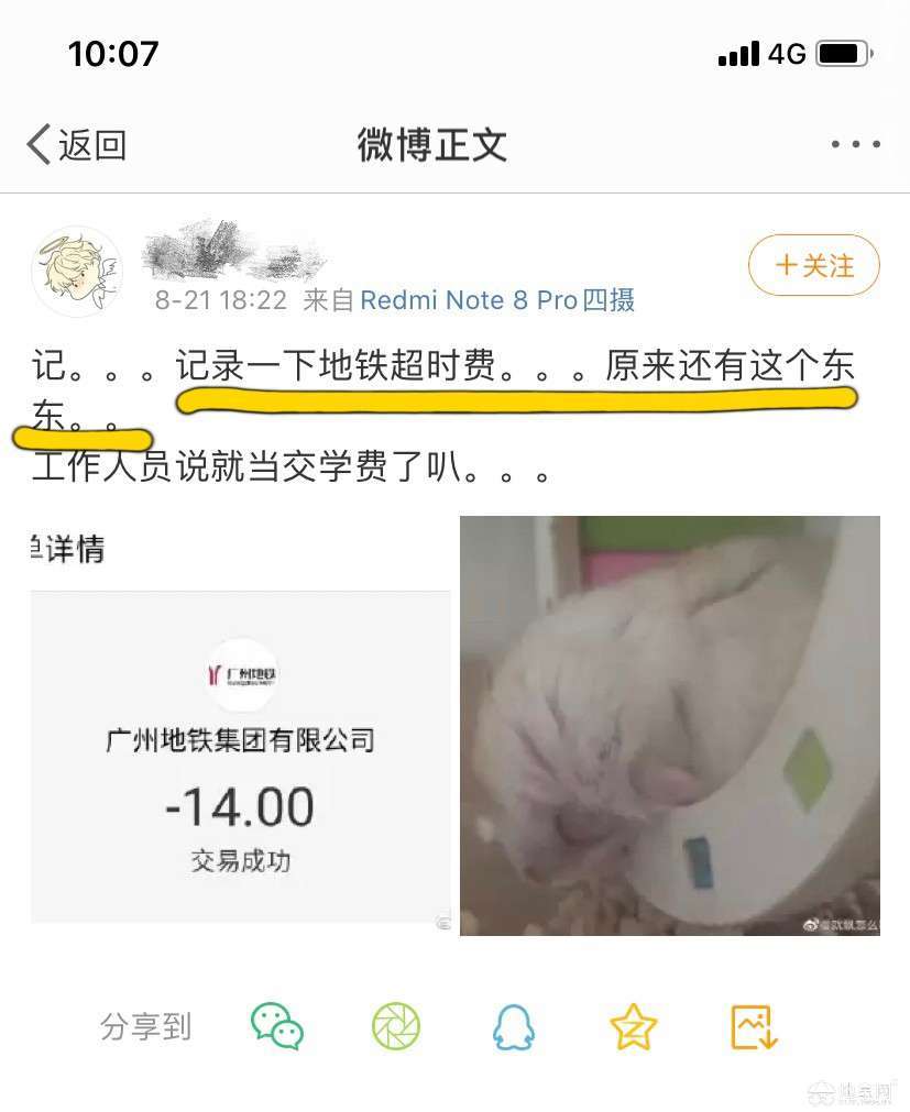 点击放大
