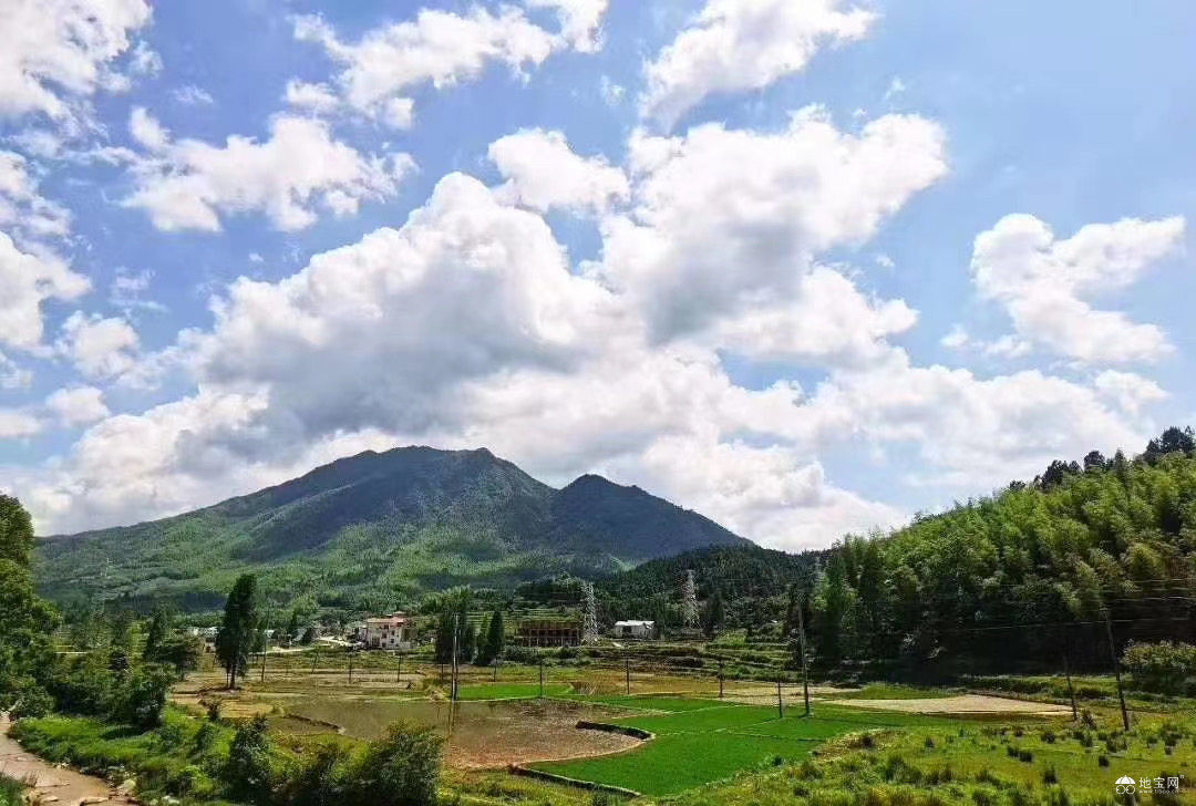点击放大