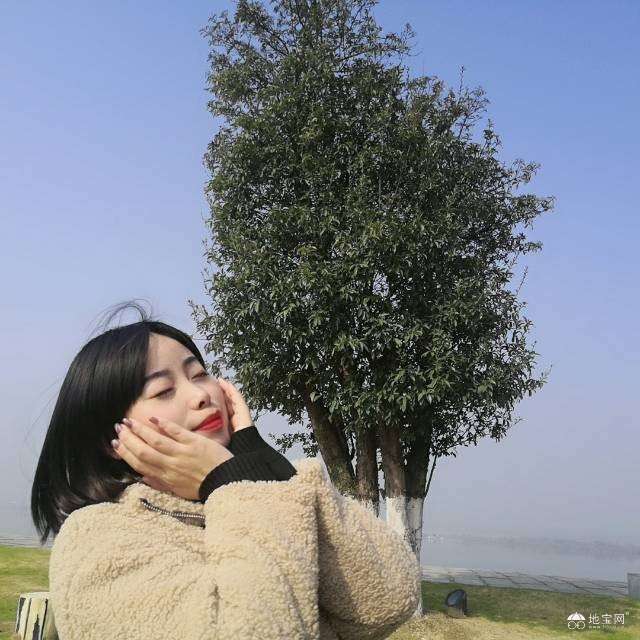 点击放大