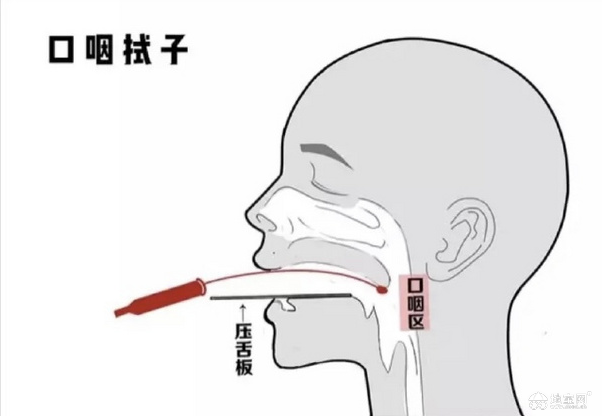 点击放大