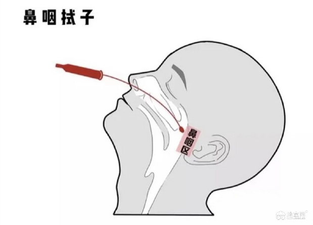 点击放大
