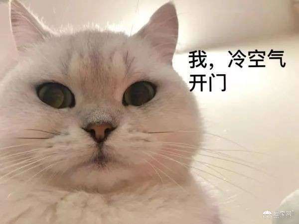 点击放大