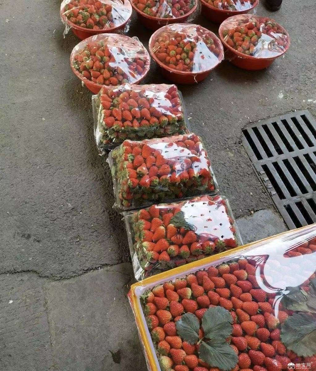 点击放大