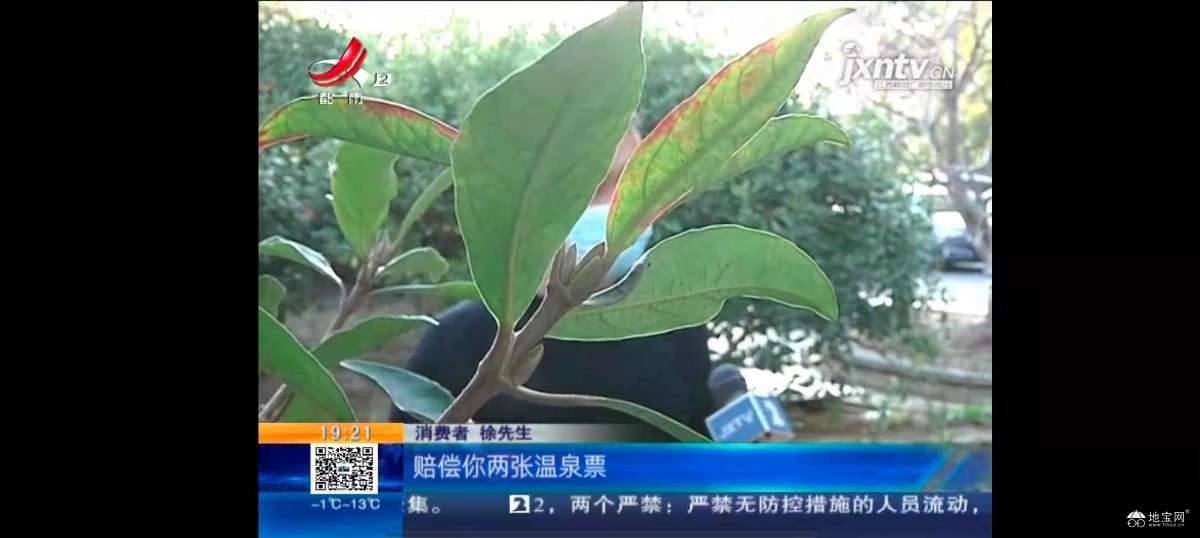点击放大