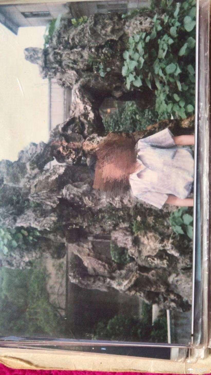 点击放大