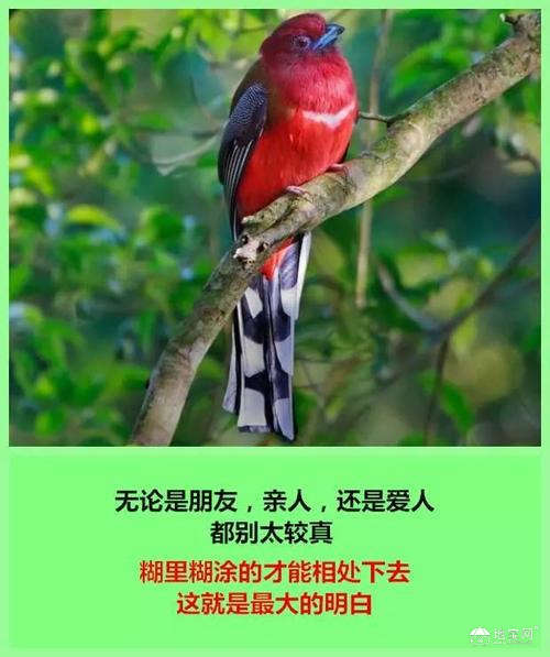 点击放大