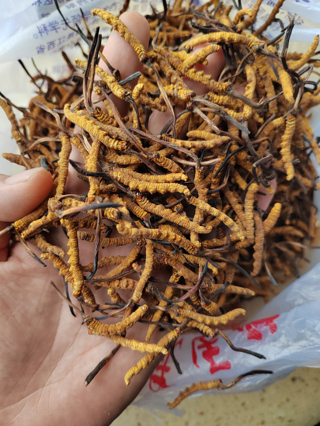 回收购物卡阿胶海参燕窝冬虫夏草茅_2