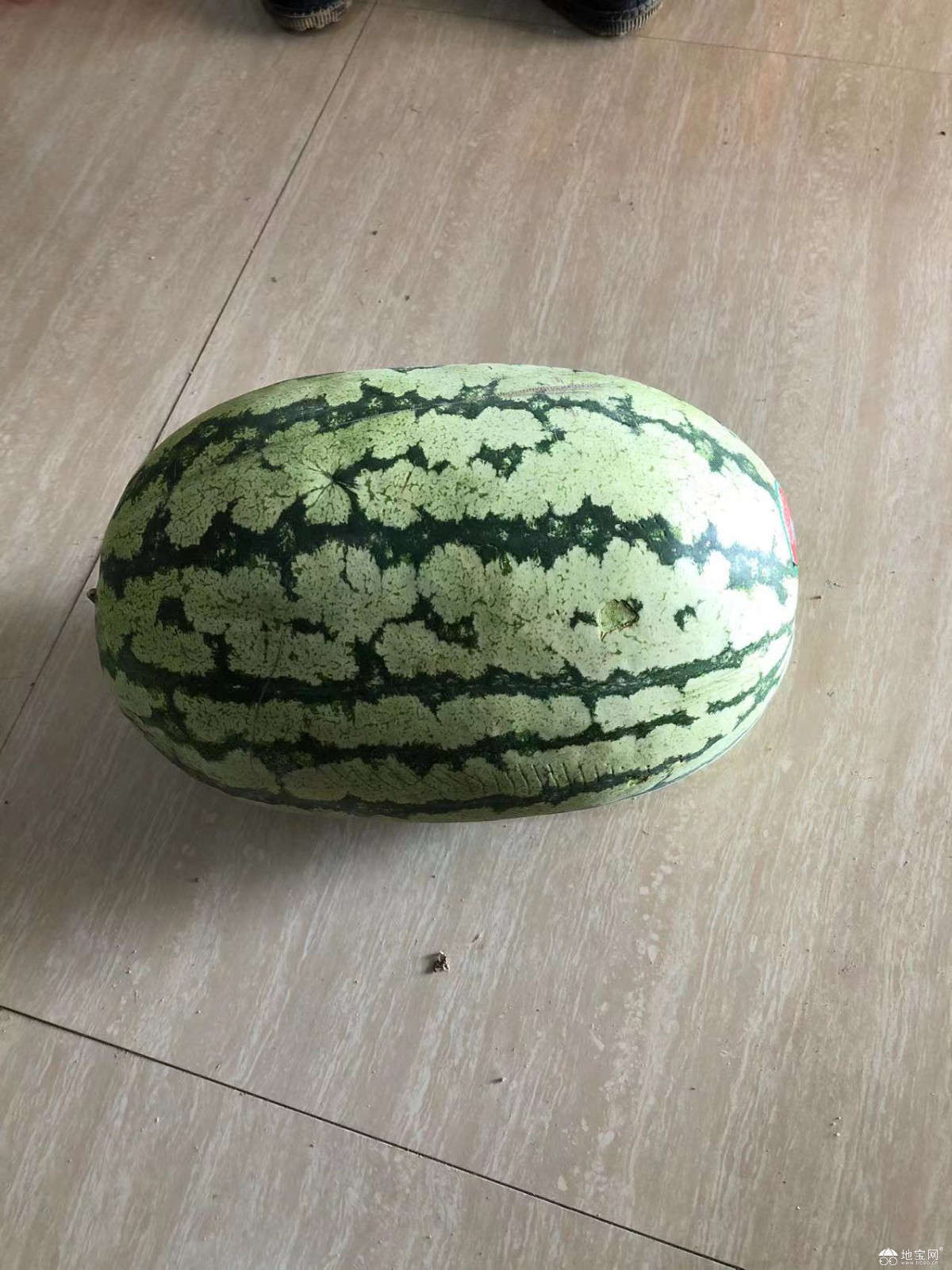 点击放大