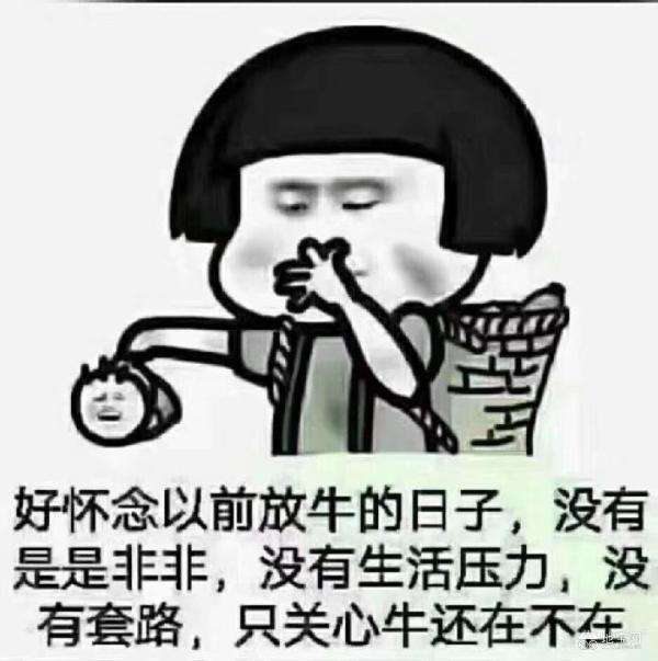 点击放大