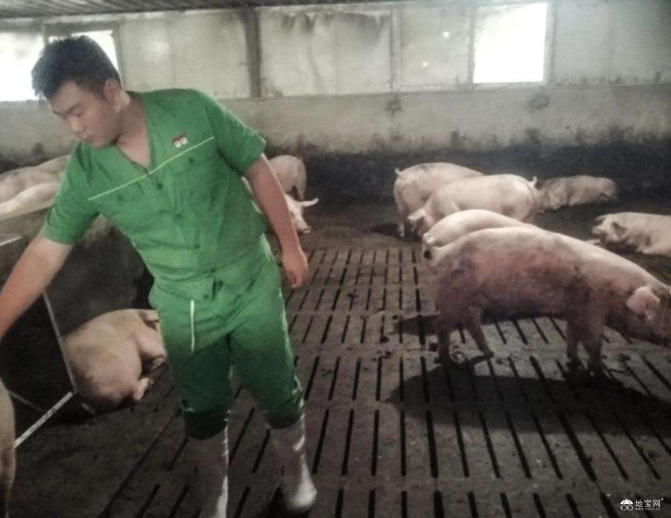 点击放大