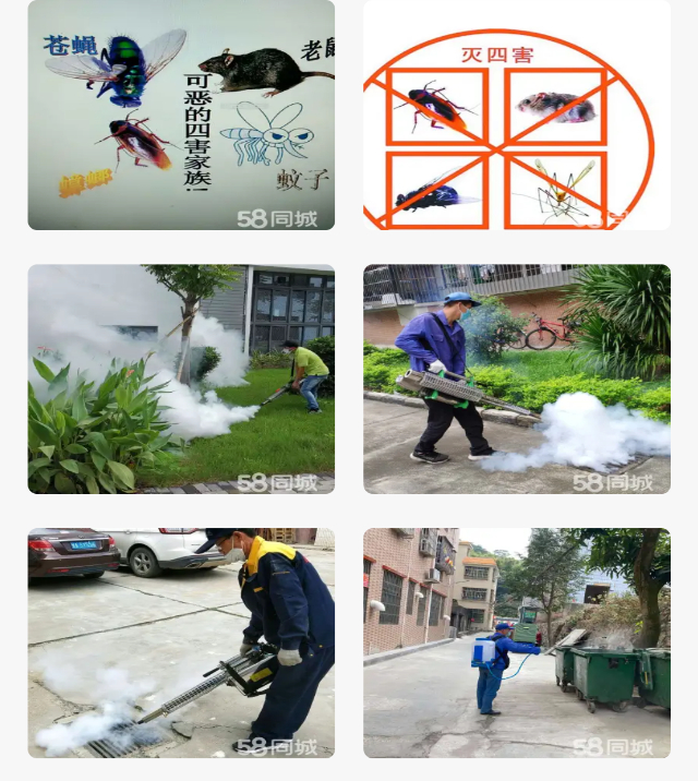 专业灭鼠灭蟑螂杀虫 白蚁防治 消杀