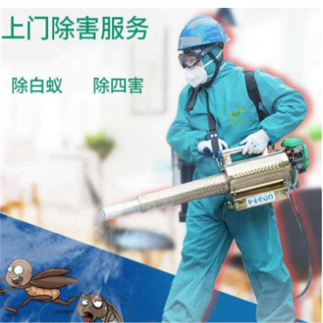 专业灭鼠灭蟑螂杀虫 白蚁防治 消杀_5