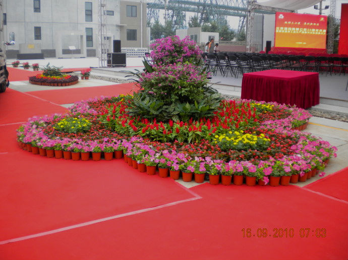 楼盘时令草花摆放