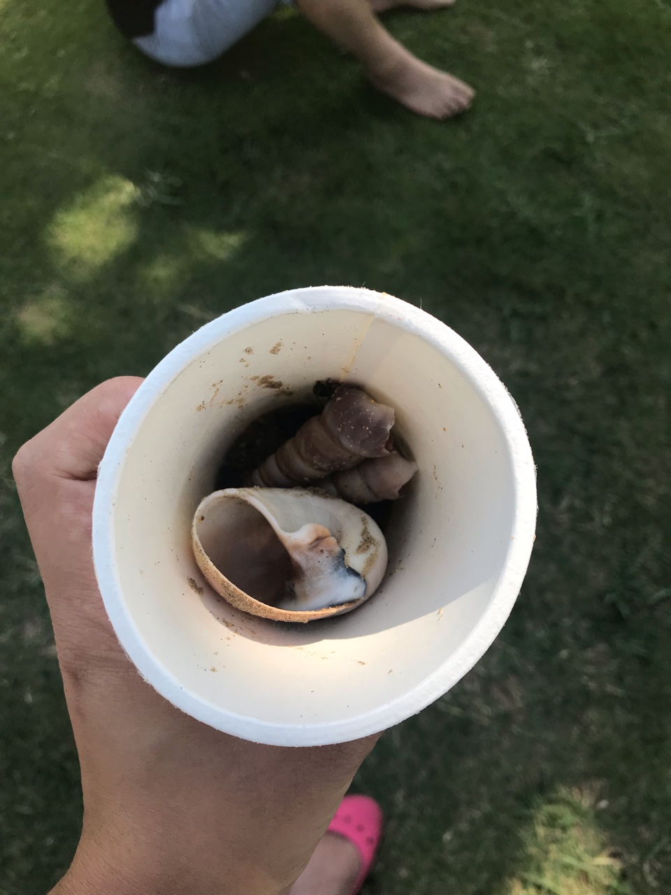 点击放大