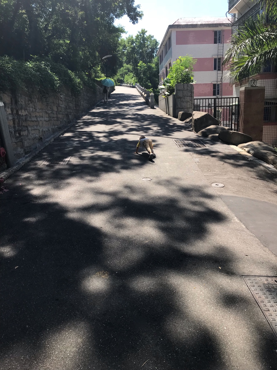 点击放大