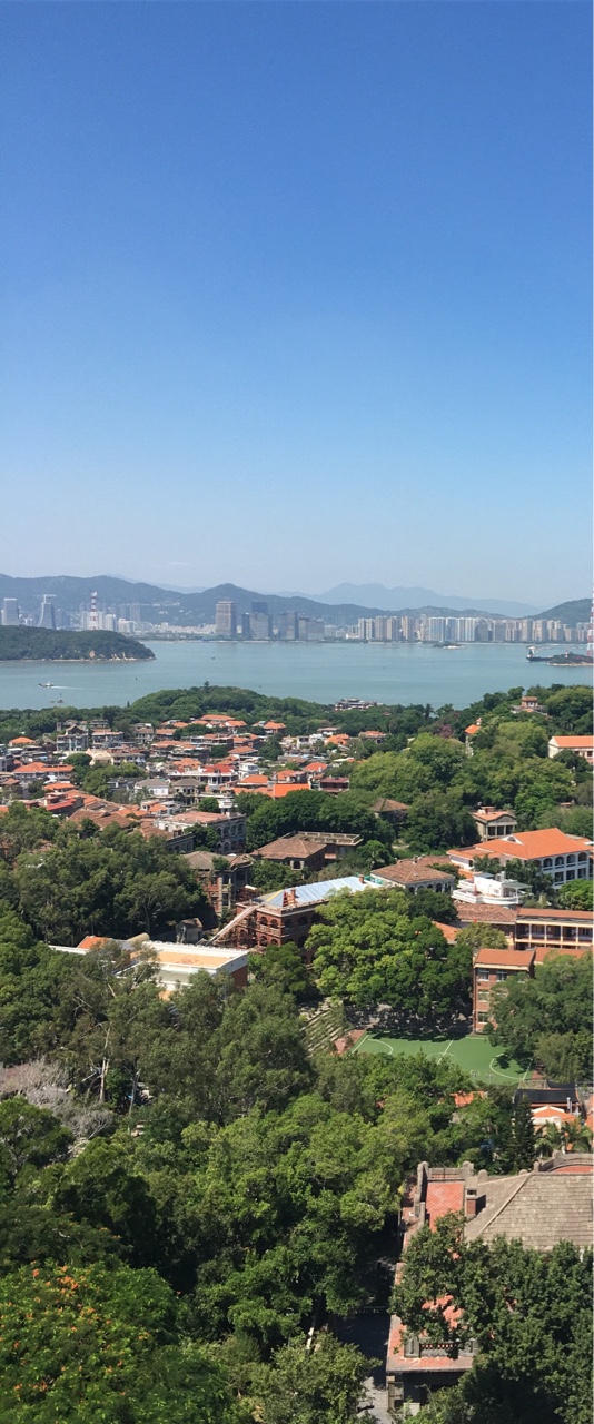 点击放大