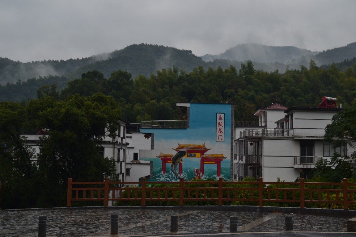点击放大