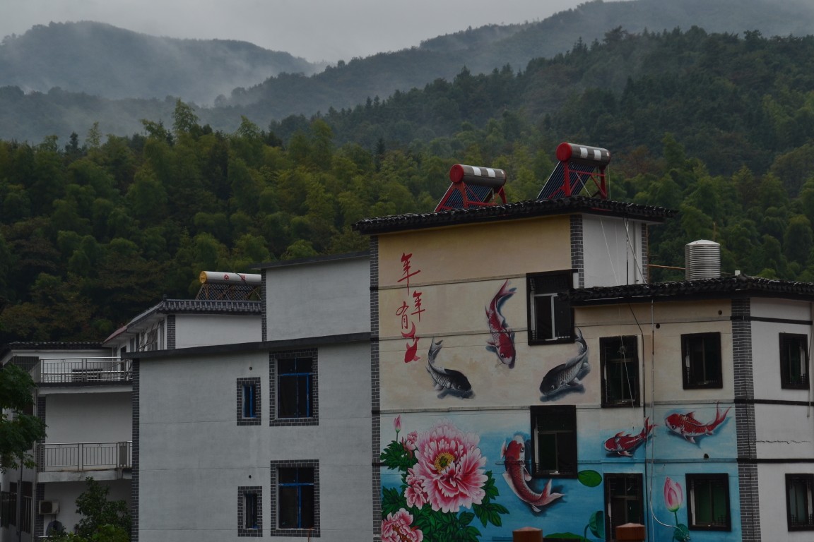 点击放大