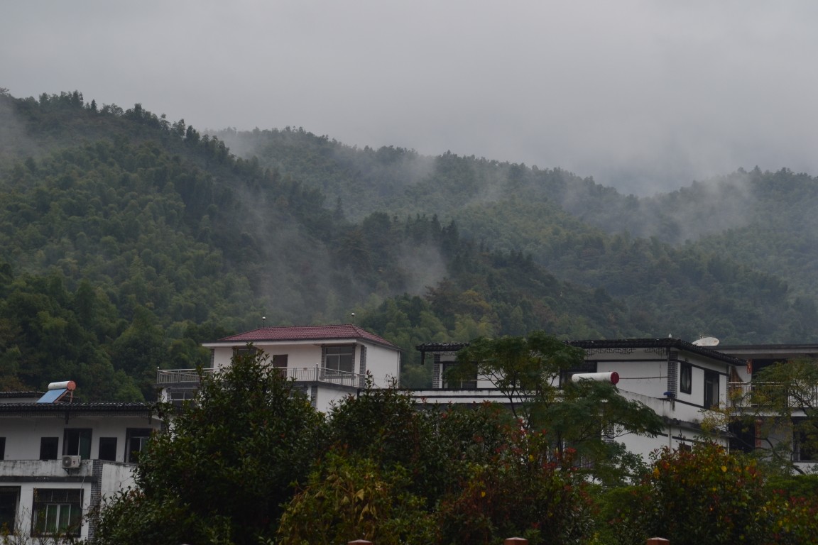 点击放大