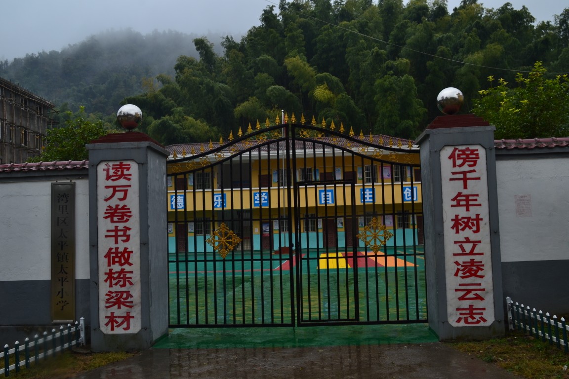 点击放大