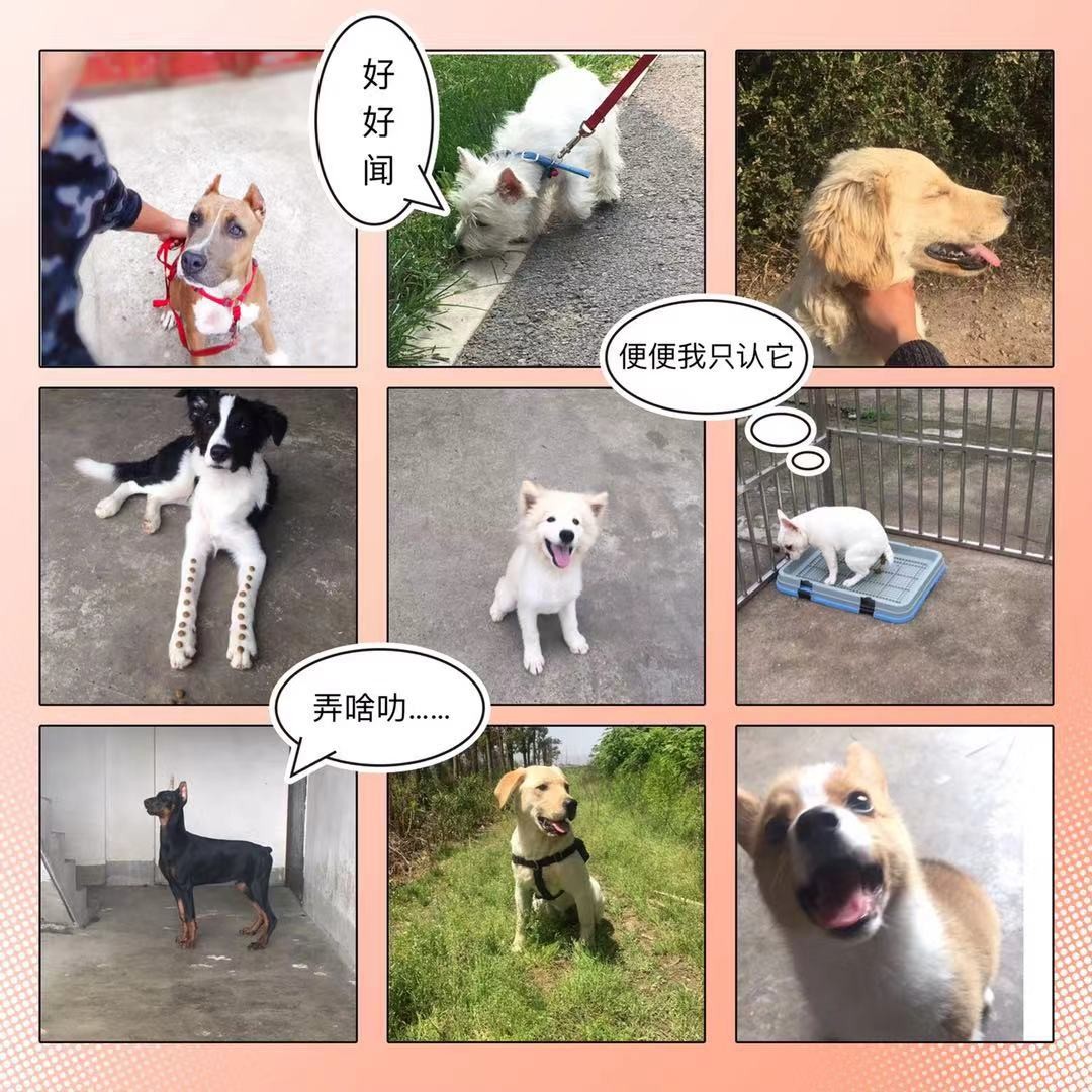 点击放大
