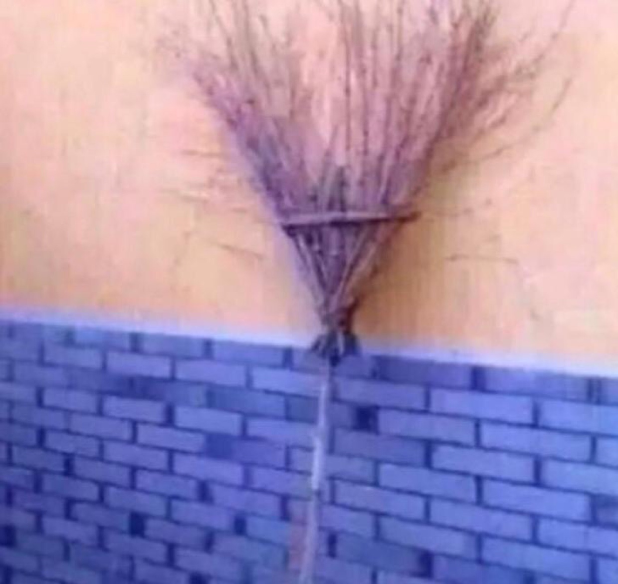 徐涛