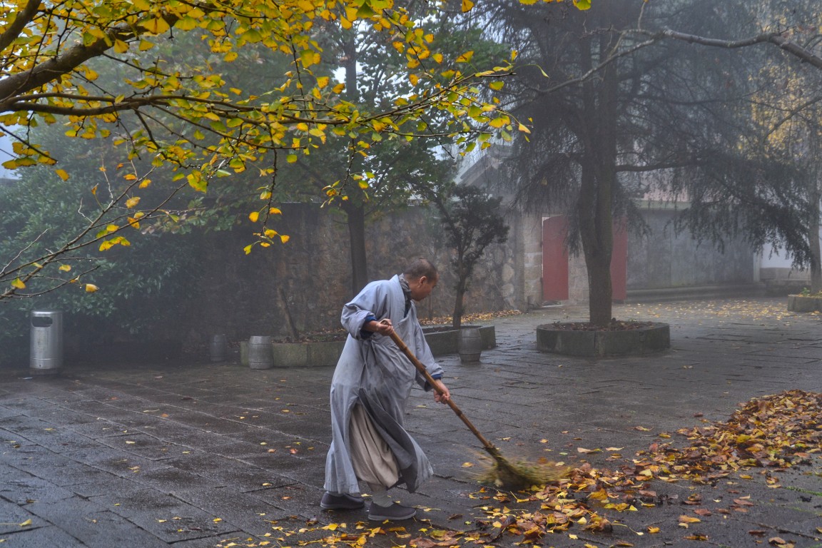 点击放大