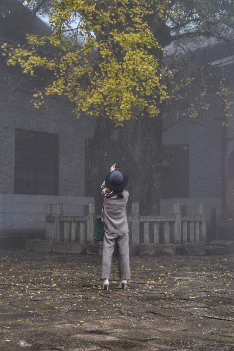 点击放大