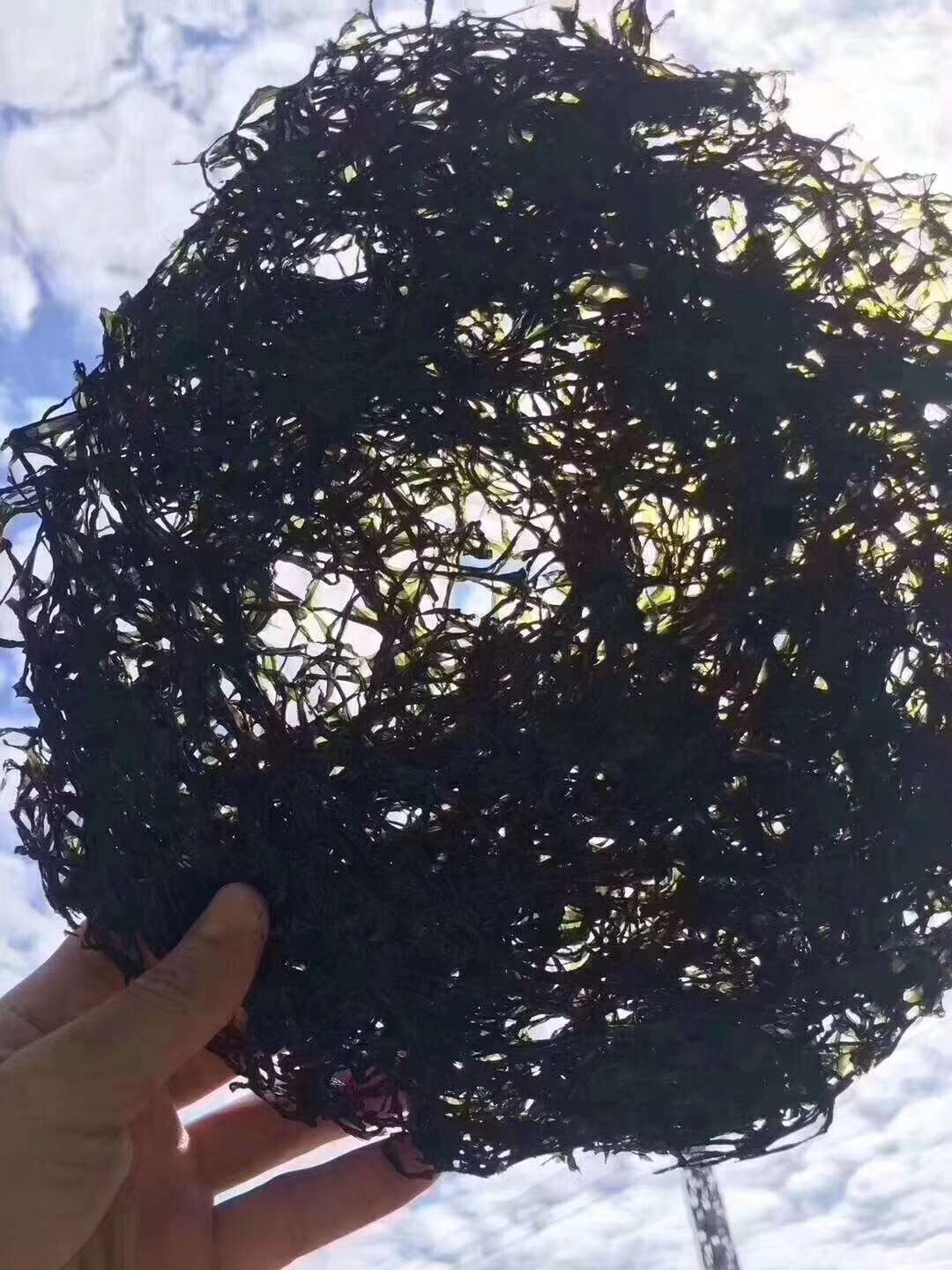 点击放大