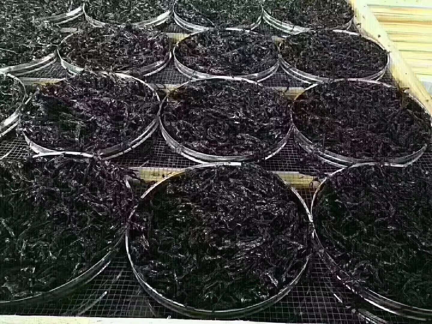 点击放大