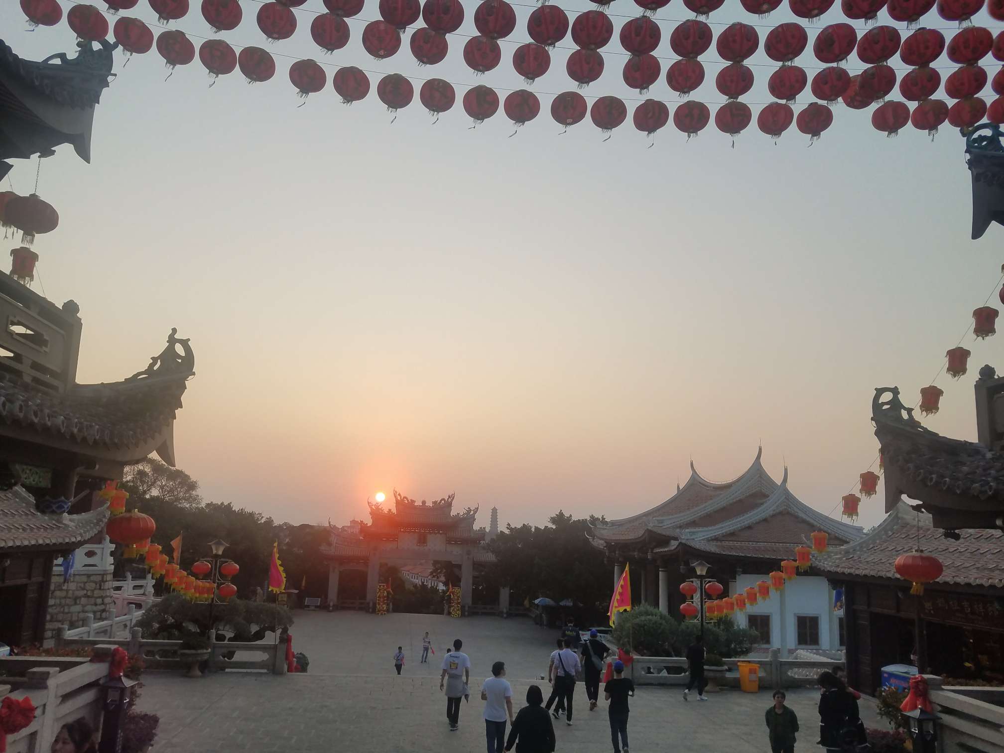 点击放大