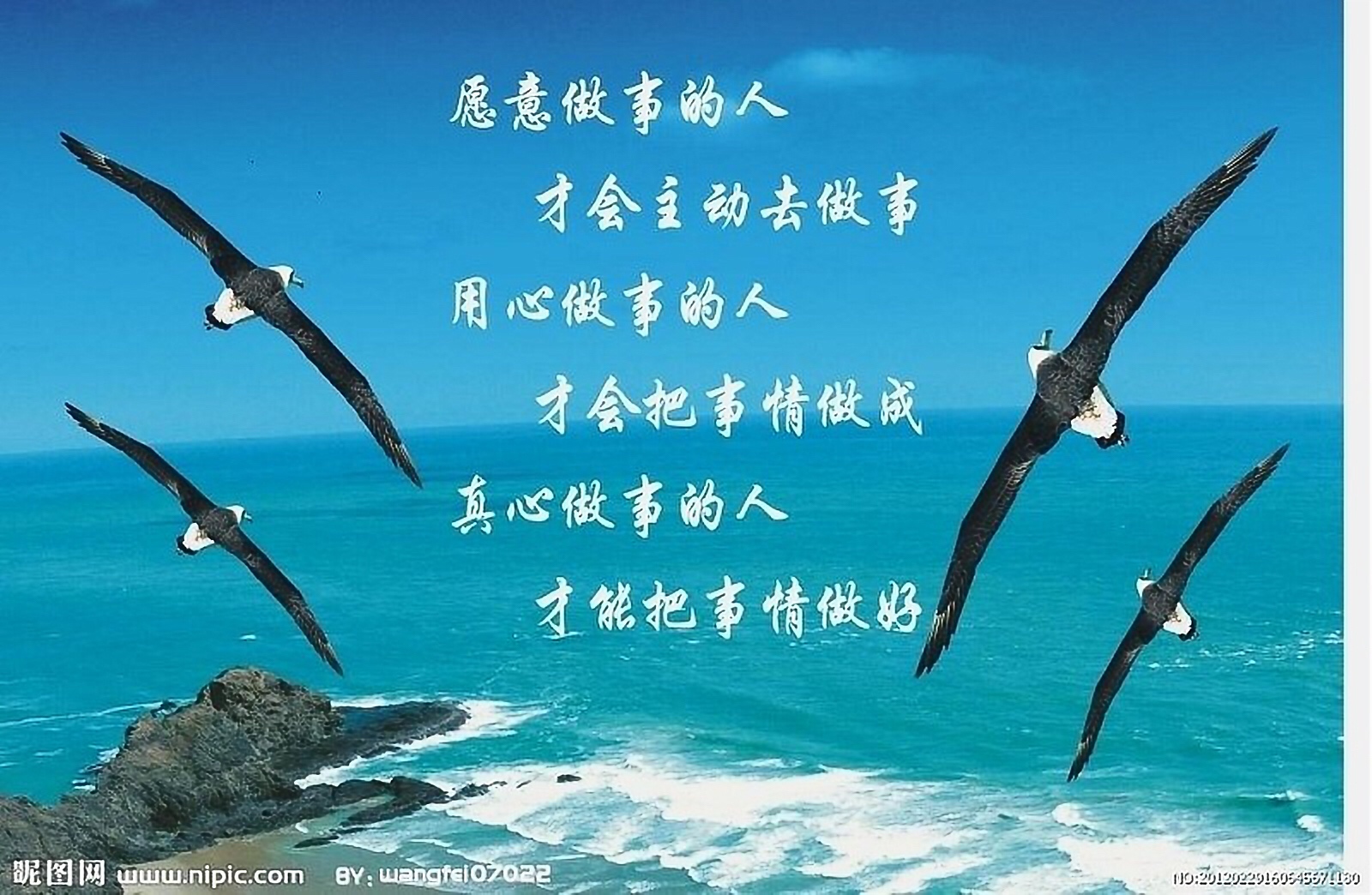 点击放大