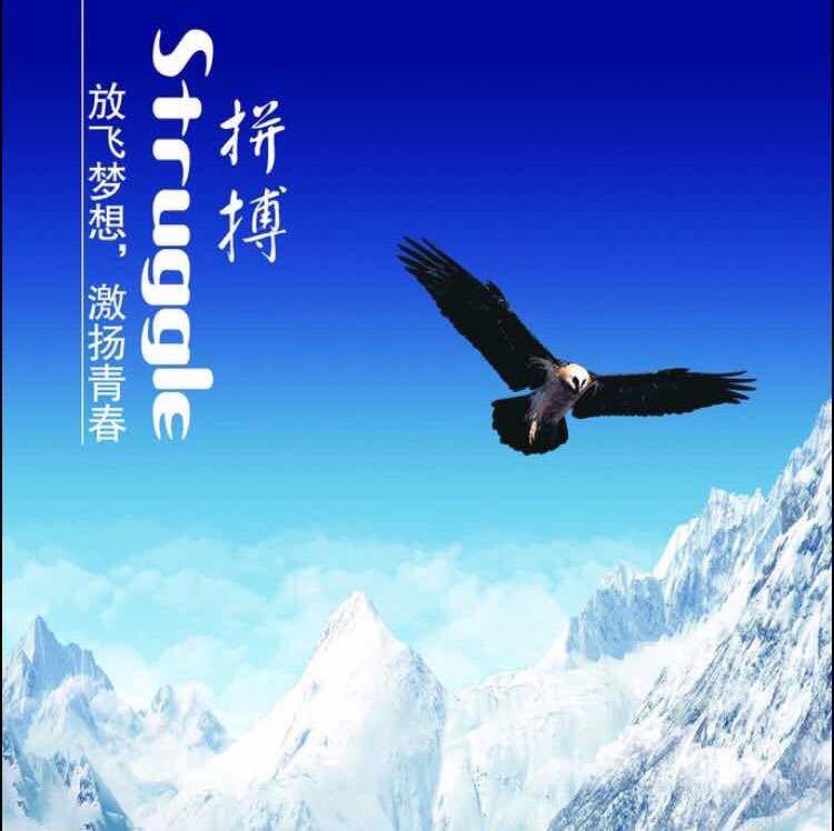 罗先生