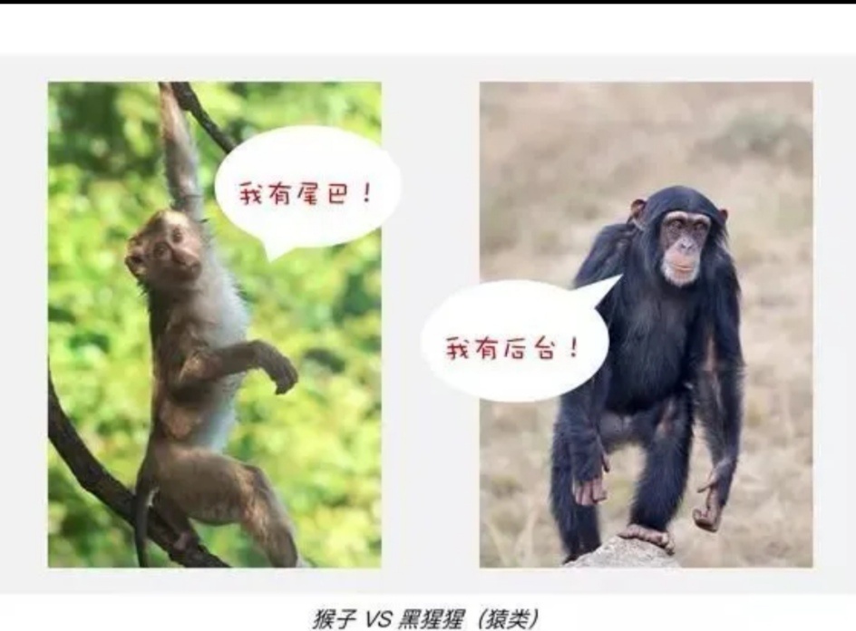 点击放大
