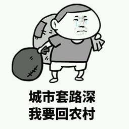 点击放大