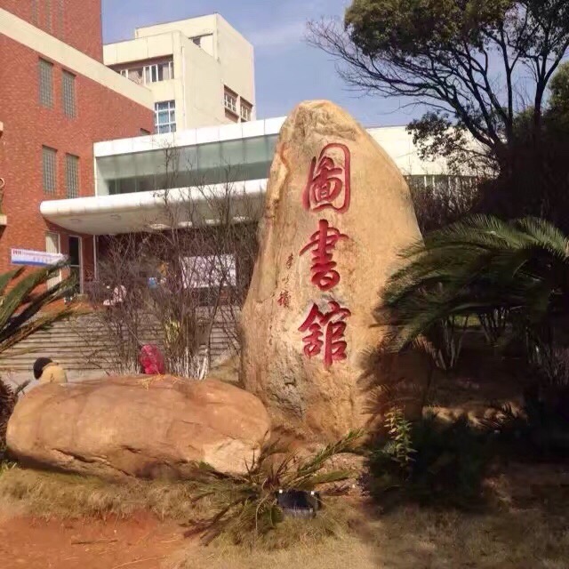点击放大