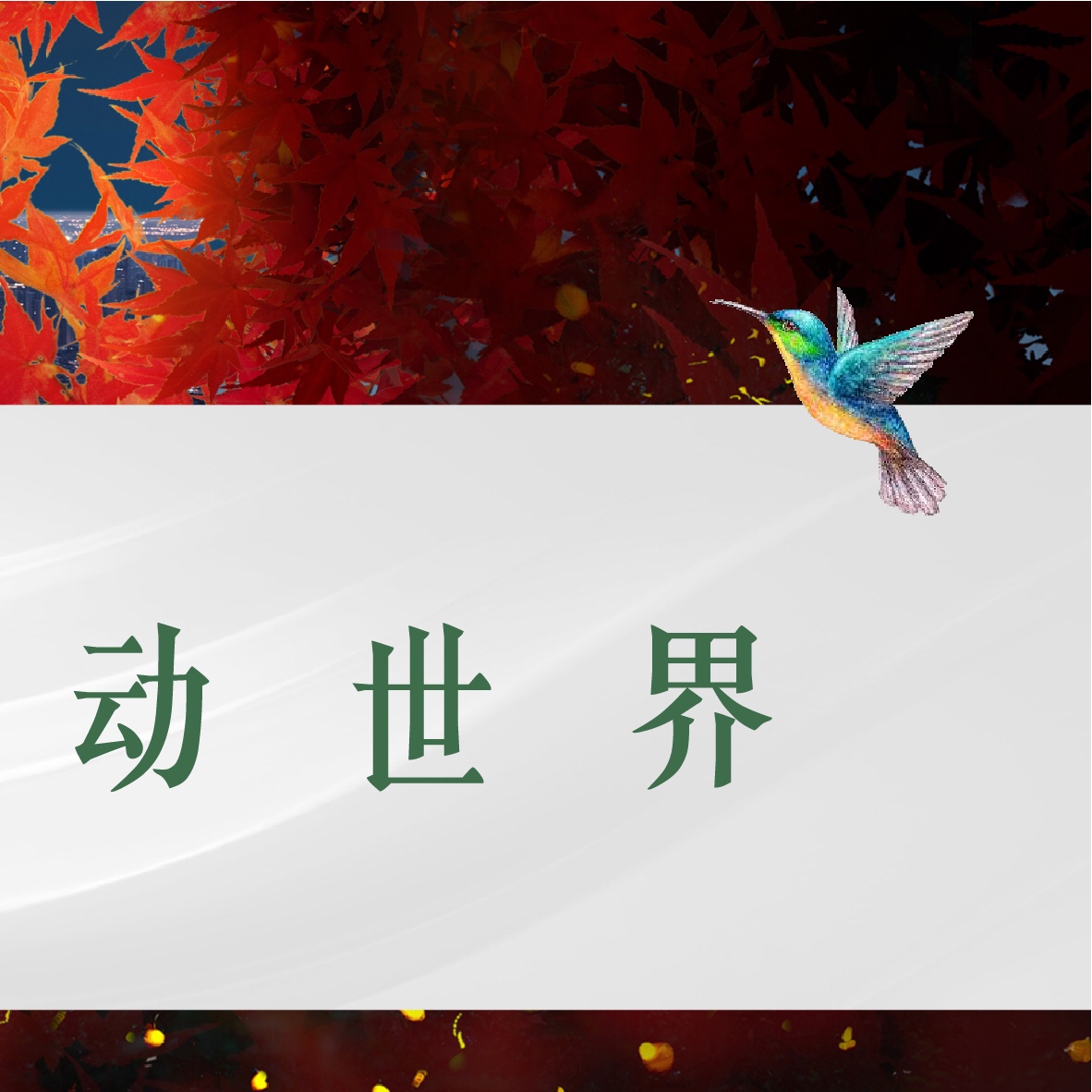 点击放大