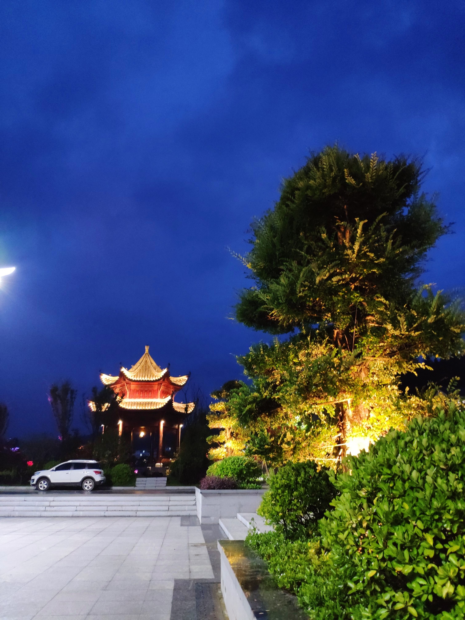 点击放大