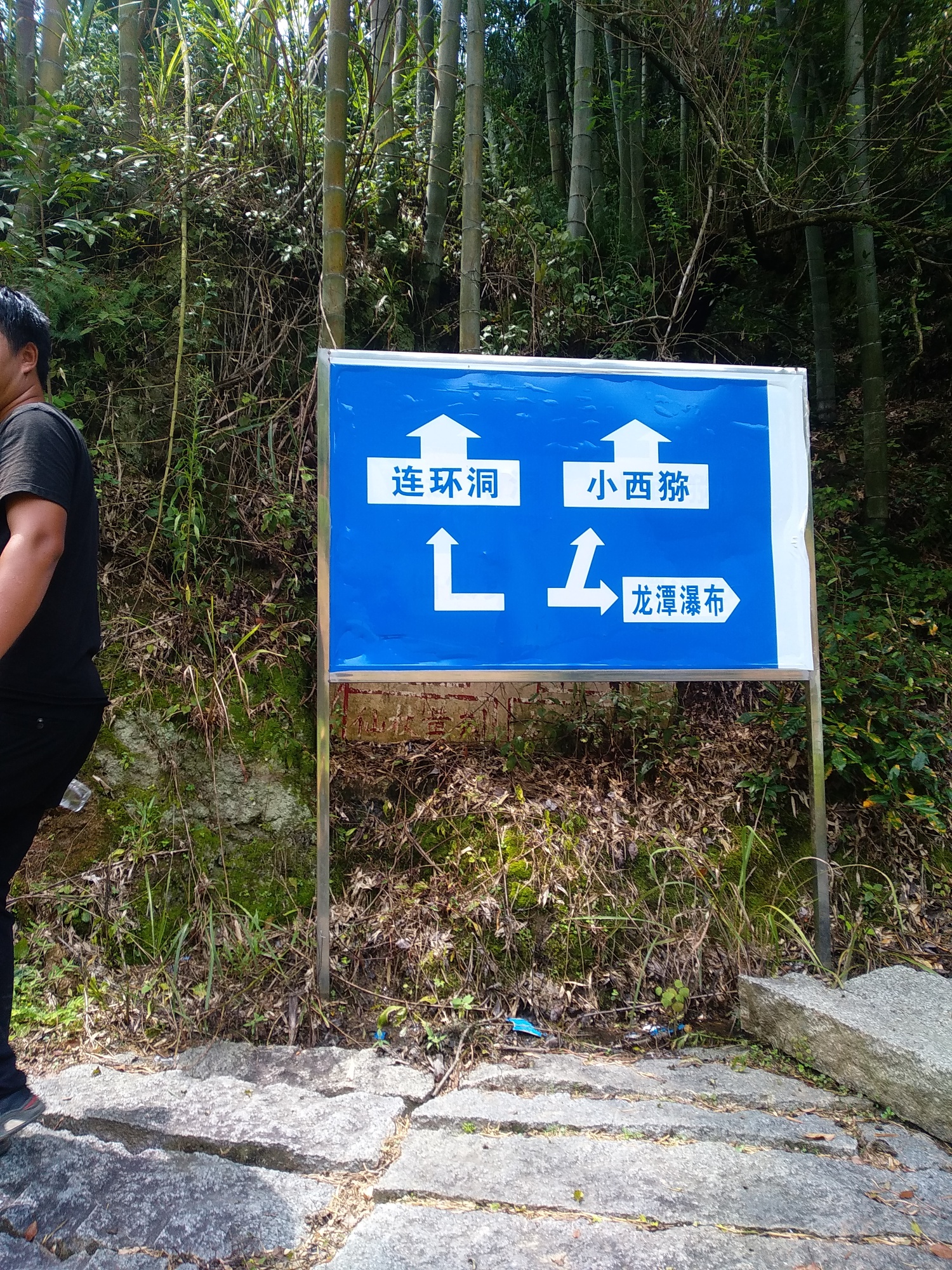 点击放大