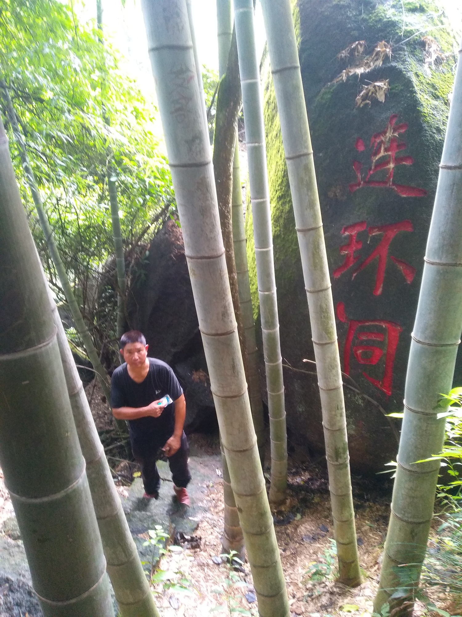 点击放大