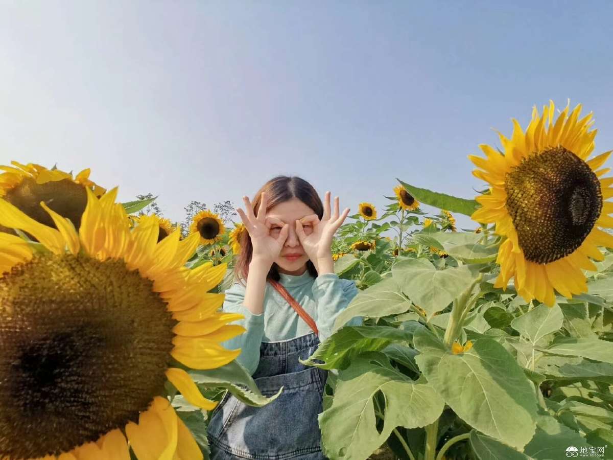 点击放大