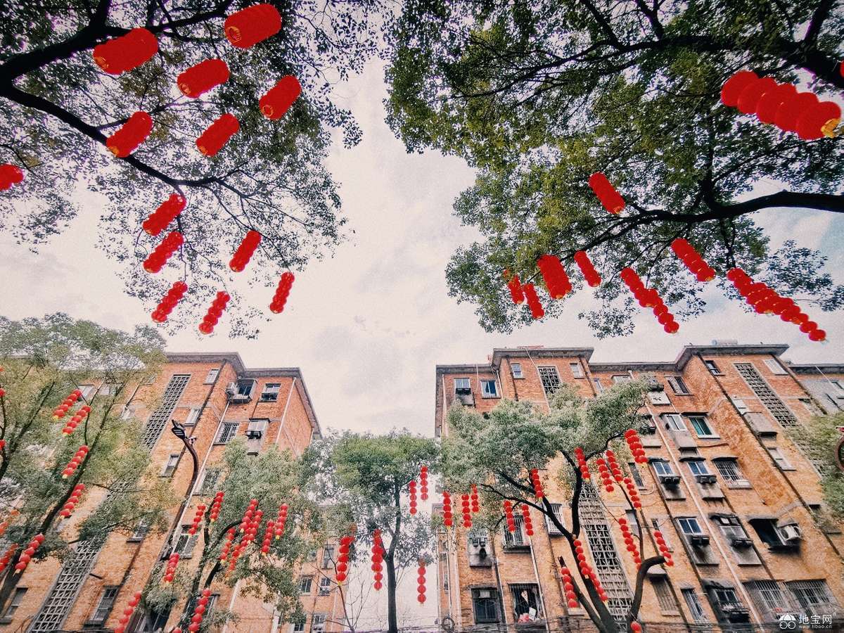 点击放大