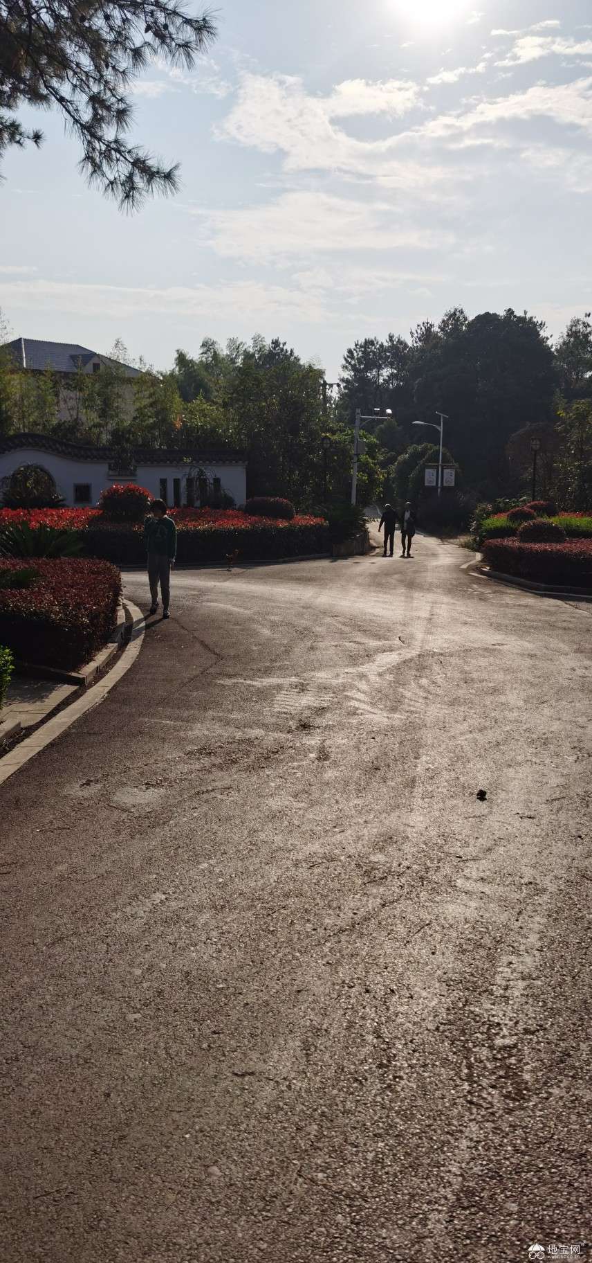 点击放大