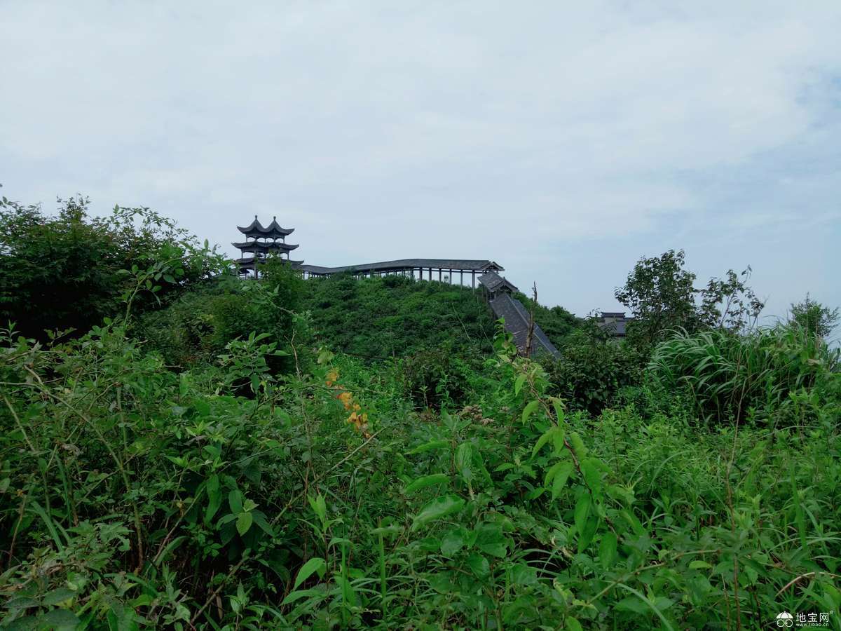 点击放大